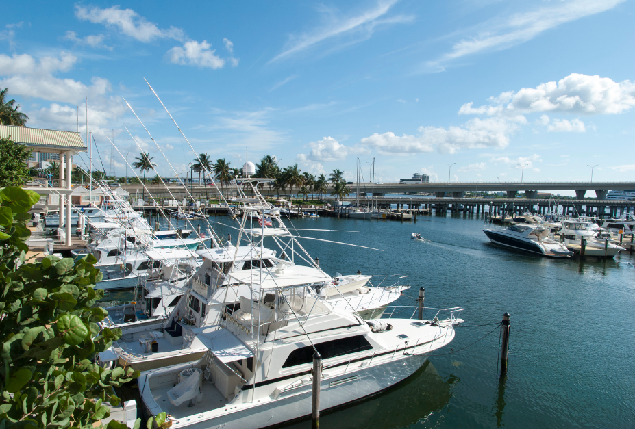 Boat show in fort lauderdale